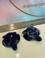 Sodalite Turtles